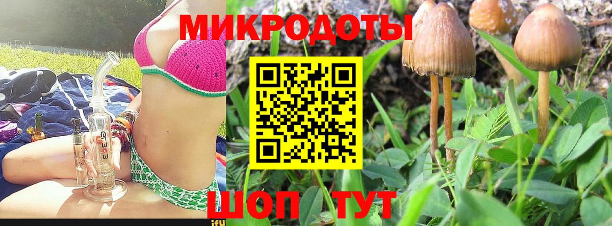 Галлюциногенные грибы Cubensis Кувандык