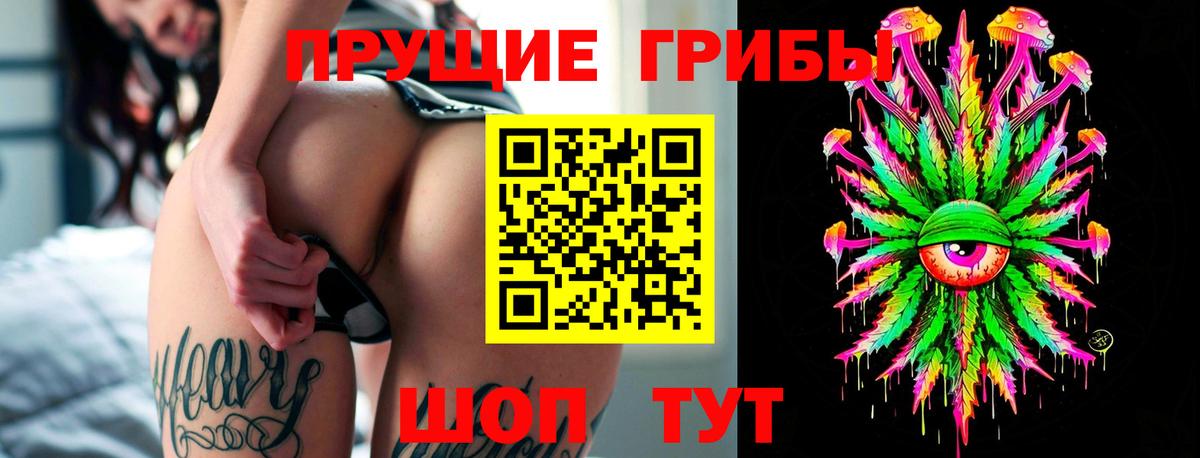 Кувандык  Псилоцибиновые грибы Cubensis  Вход с VPN 